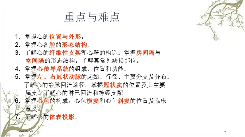 心血管系统心课件.ppt_第2页