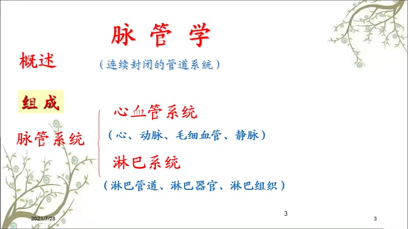 心血管系统心课件.ppt_第3页