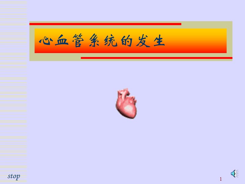 心血管系统的发生课件.ppt_第1页