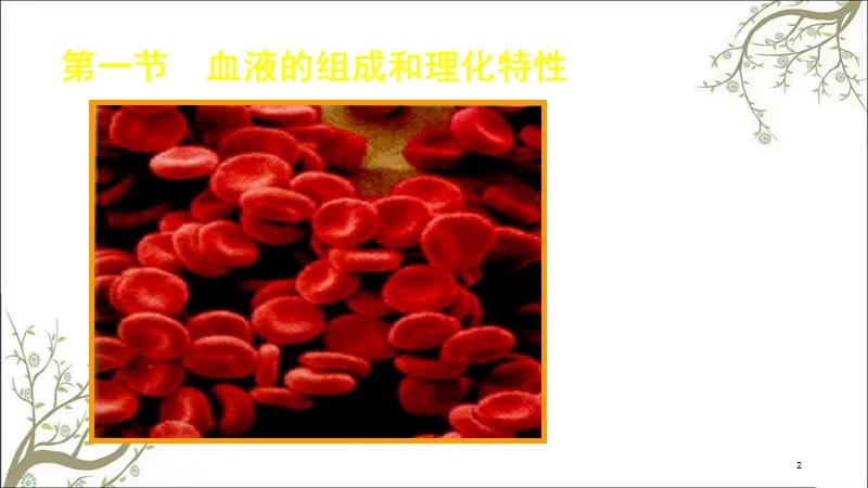 生理学血液生理课件.ppt_第2页