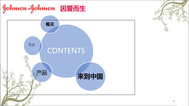 强生医疗器械简介课件.ppt_第2页