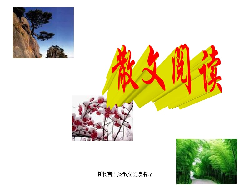 托物言志类散文阅读指导（经典实用）.ppt_第1页