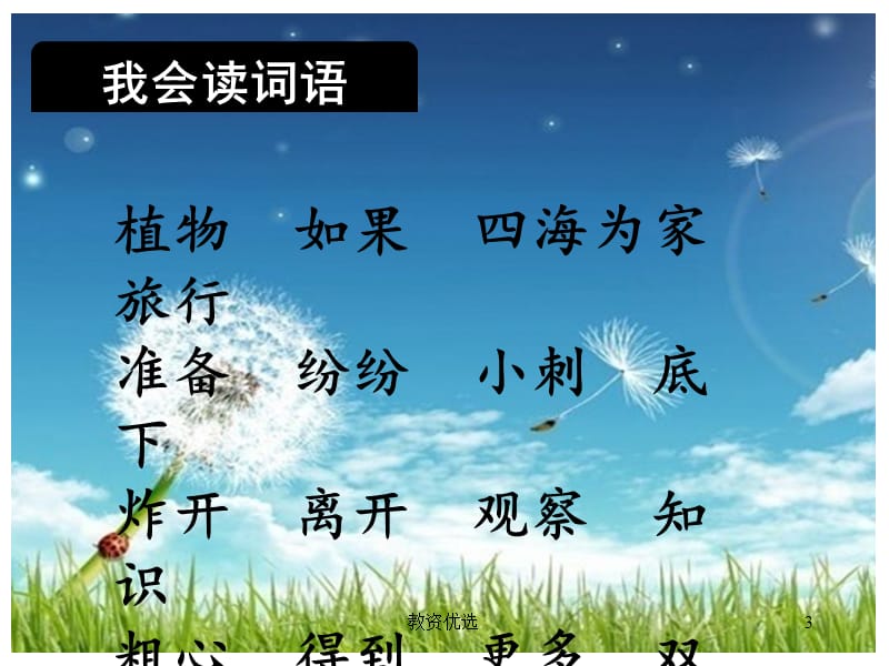 部编版二年级(上册)语文植物妈妈有办法完整版.[教学校园].ppt_第3页