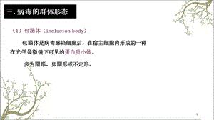 病毒的群体形态课件.ppt