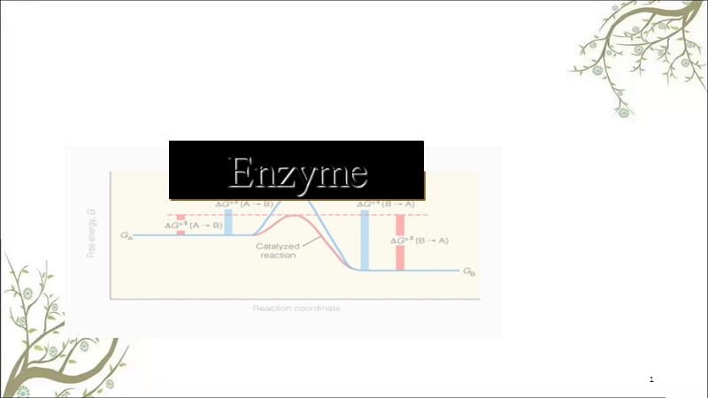 生物化学酶课件.ppt_第1页