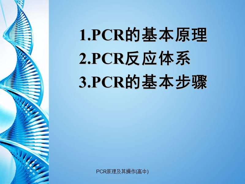 最新PCR原理及其操作(高中).ppt_第2页