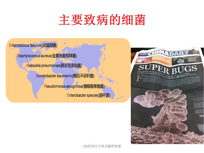 最新CRE的流行分布及耐药机制.ppt_第2页