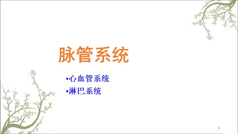 心血管系统脉管课件.ppt_第1页