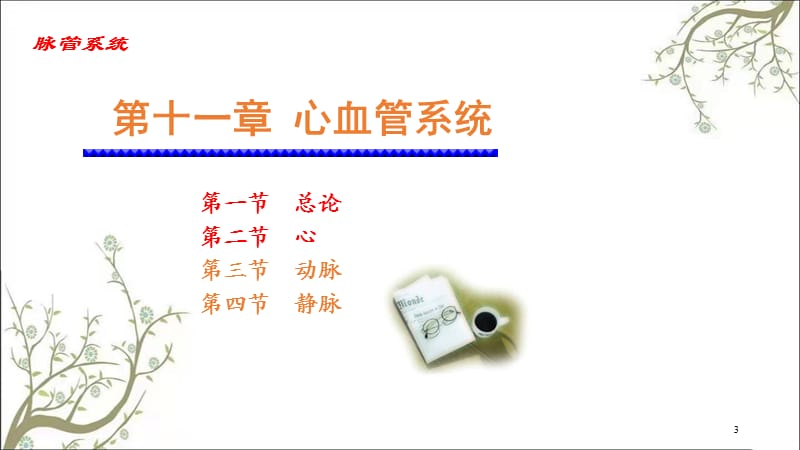 心血管系统脉管课件.ppt_第3页