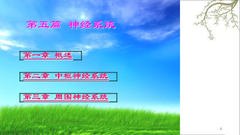 神经系统端脑课件.ppt_第2页