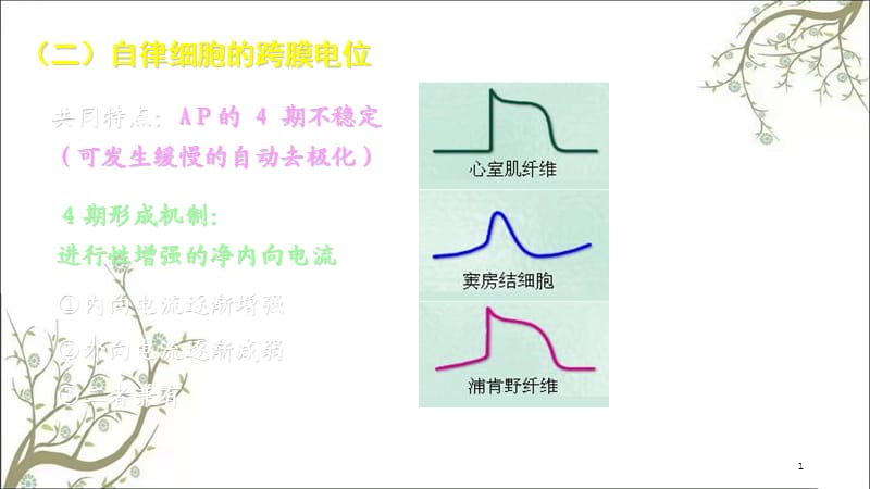 生理血液循环(2)课件.ppt_第1页