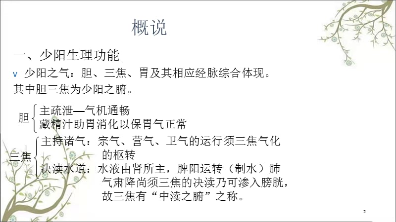 少阳病篇七版课件.ppt_第2页