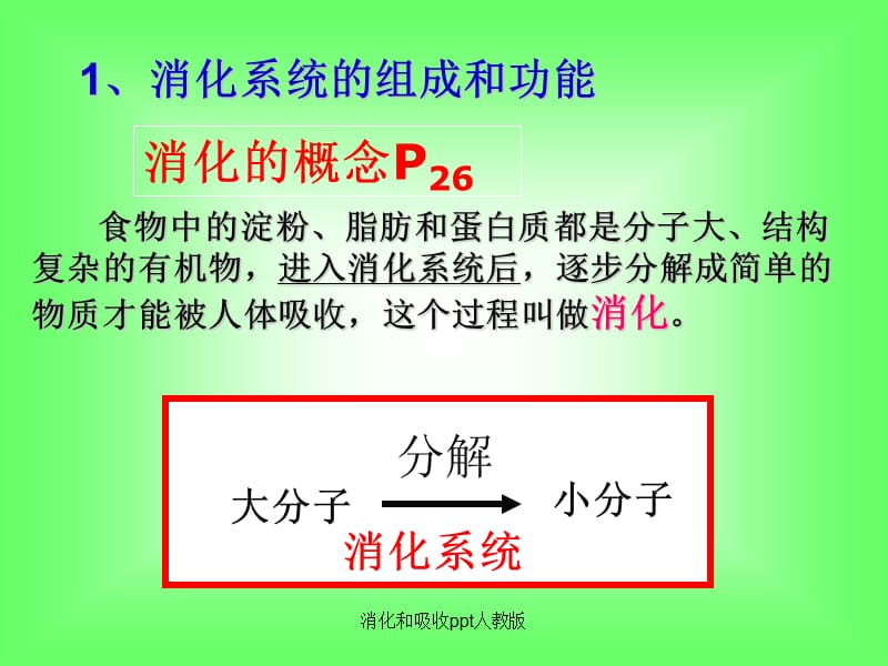 消化和吸收ppt人教版（经典实用）.ppt_第2页