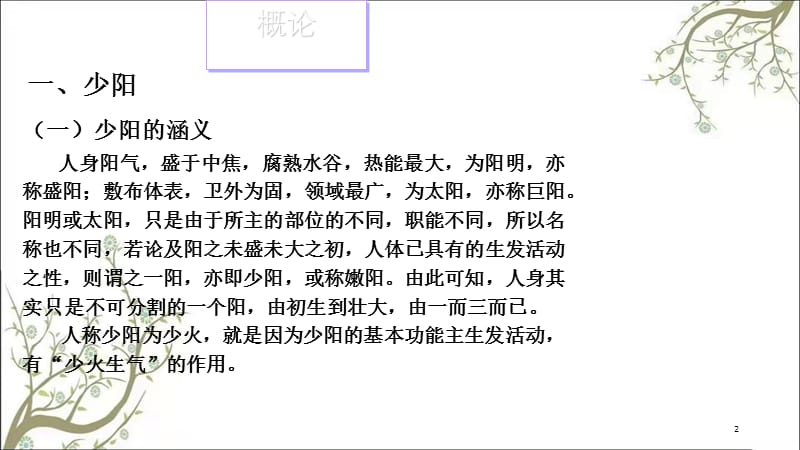 少阳病篇吴修符课件.ppt_第2页