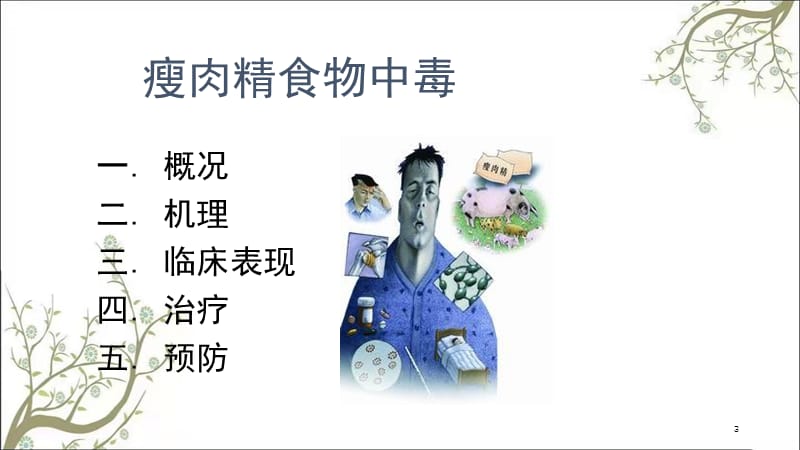 瘦肉精食物中毒课件.ppt_第3页