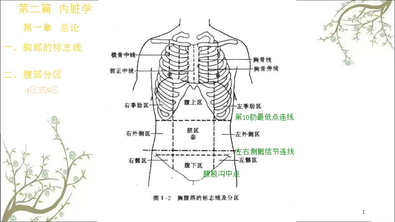 消化系统A学院(2)课件.ppt_第1页