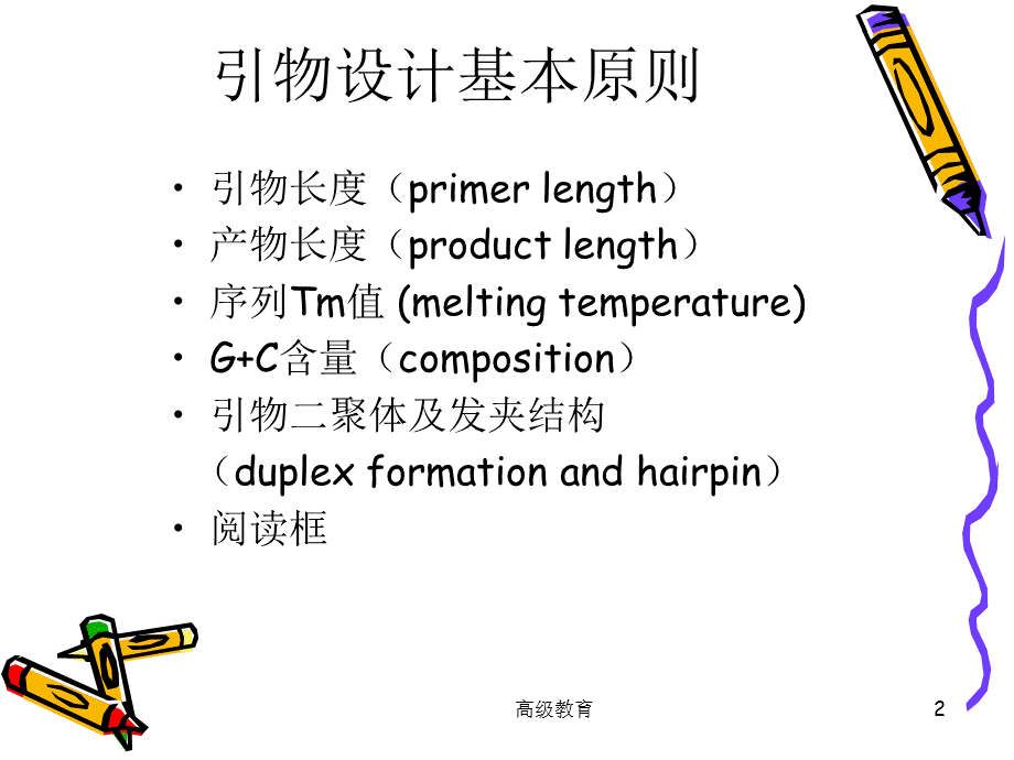 引物设计实例分析[高教书苑].ppt_第2页