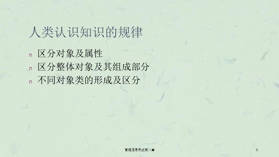 管理信息系统第八章课件.ppt_第3页