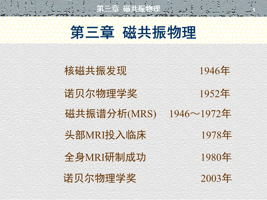 第三章磁共振现象[章节讲课].ppt_第1页