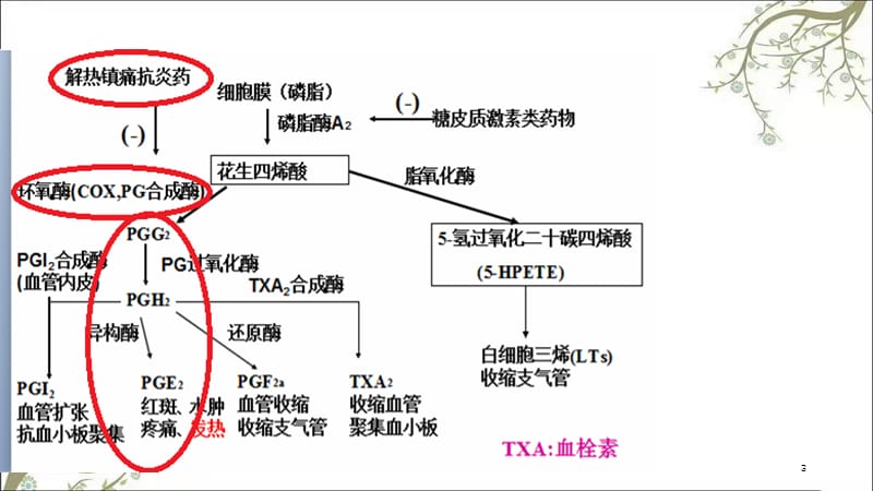 阿司匹林及其药理课件.ppt_第3页