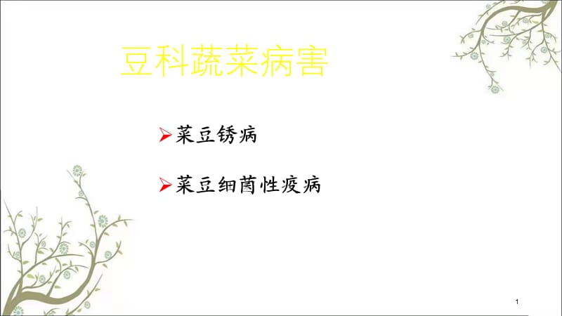 豆科蔬菜病害课件.ppt_第1页