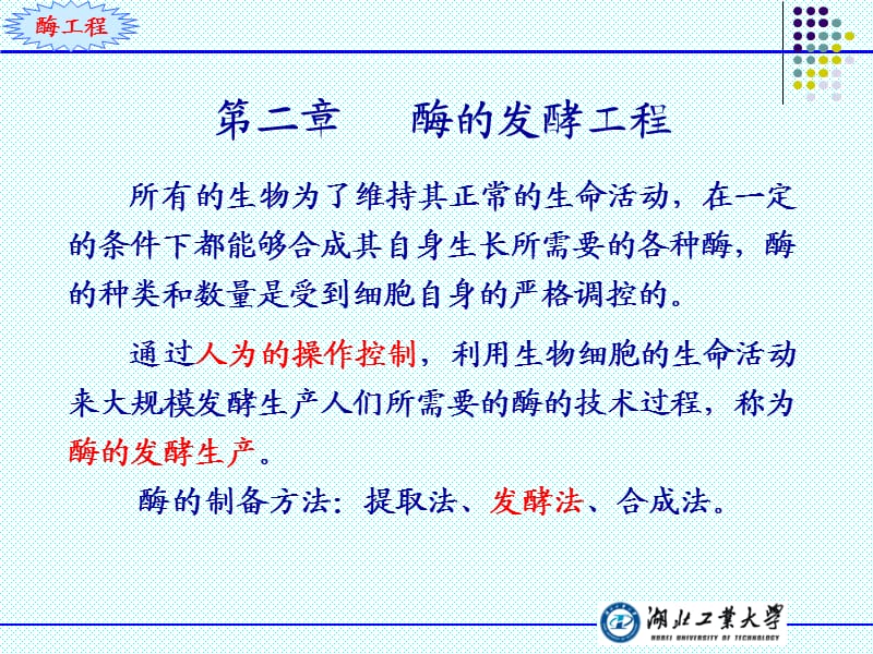 酶工程ppt.ppt_第1页