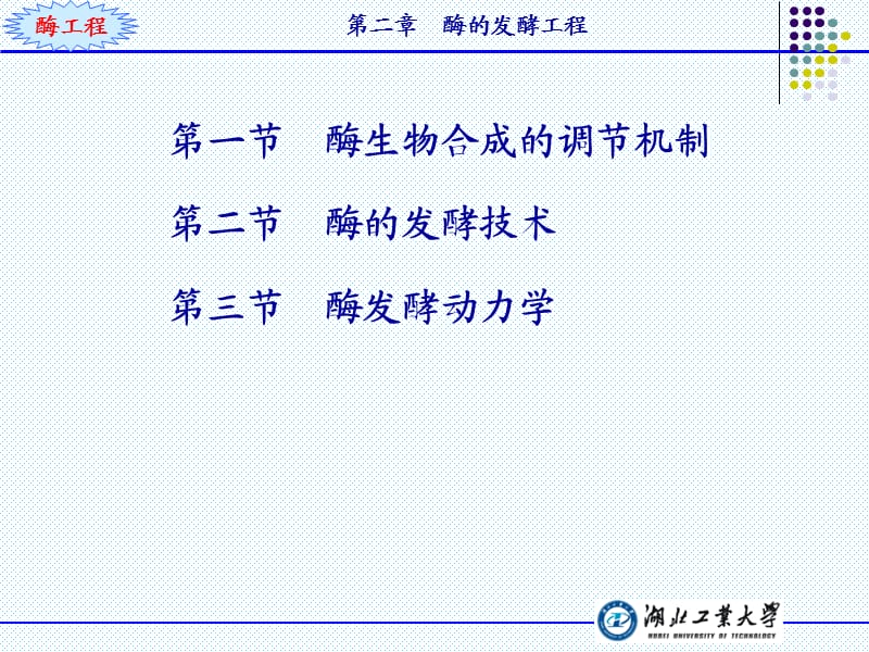 酶工程ppt.ppt_第2页