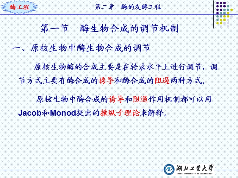 酶工程ppt.ppt_第3页