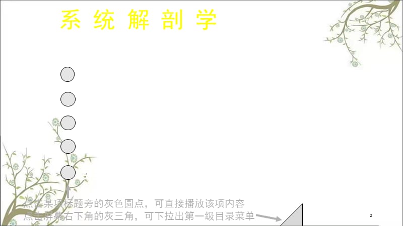 系统解剖学绪论课件.ppt_第2页