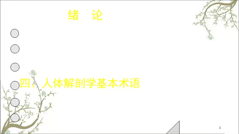 系统解剖学绪论课件.ppt_第3页