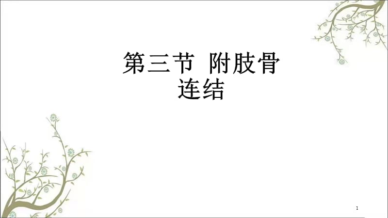 附肢骨连结级课件.ppt_第1页