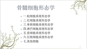 骨髓细胞形态课件.ppt