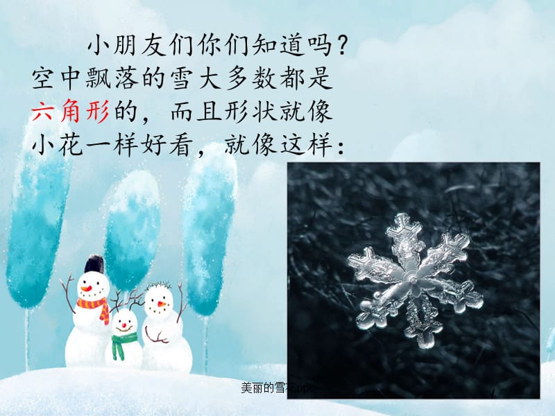 美丽的雪花ppt（经典实用）.pptx_第2页