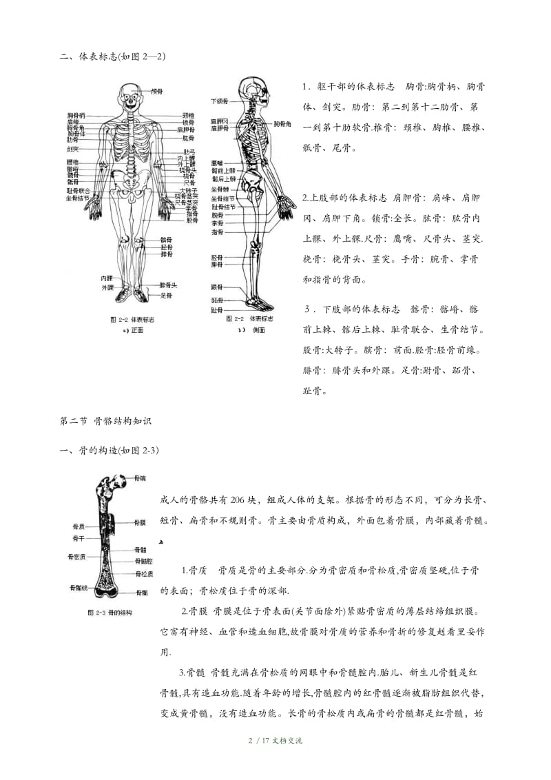 人体各部位名称及体表标志7（干货分享）.doc_第2页