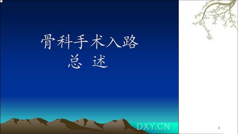 骨科手术入路总述课件.ppt_第2页