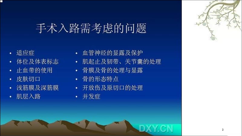 骨科手术入路总述课件.ppt_第3页