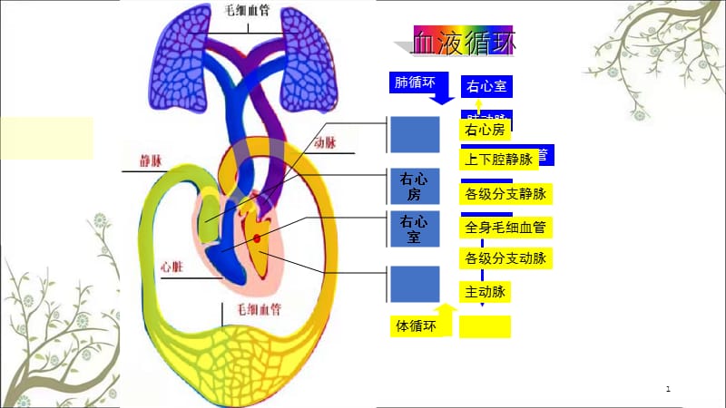 输血和血型(2)课件.ppt_第1页