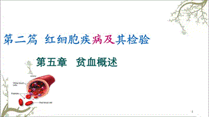 贫血概述课件.ppt