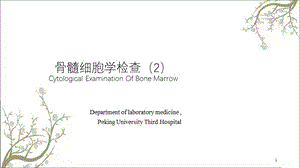 骨髓细胞学检查课件.ppt