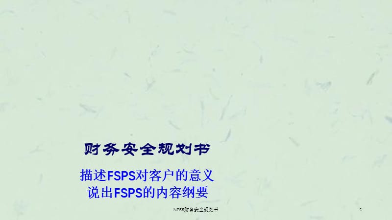 NPSS财务安全规划书课件.ppt_第1页