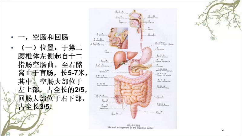 结肠下区(2)课件.ppt_第2页