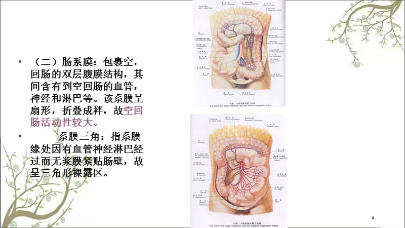 结肠下区(2)课件.ppt_第3页