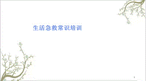 紧急救护知识培训课件.ppt