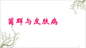 菌群与皮肤病课件.ppt