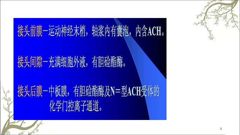 肌细胞的收缩功能课件.ppt_第3页