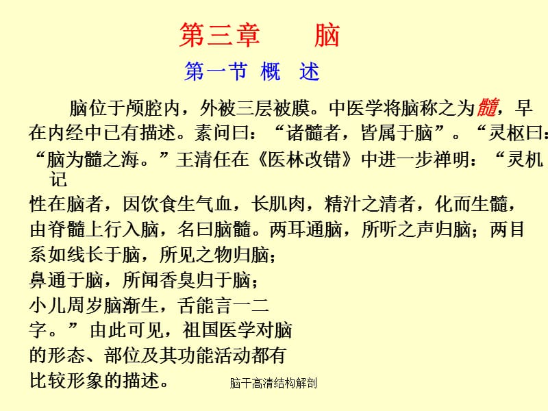 脑干高清结构解剖（经典实用）.ppt_第1页