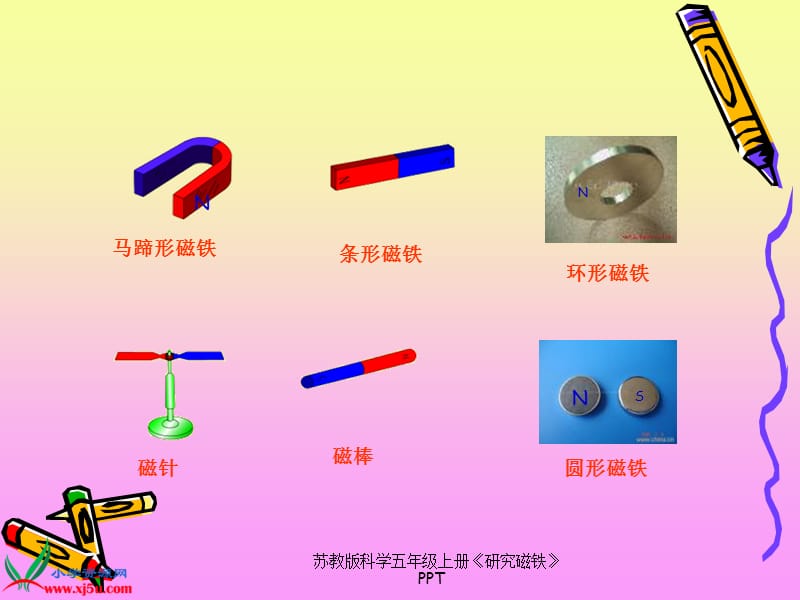 苏教版科学五年级上册《研究磁铁》PPT（经典实用）.ppt_第2页