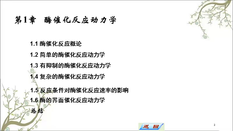 酶催化反应动力学课件.ppt_第2页