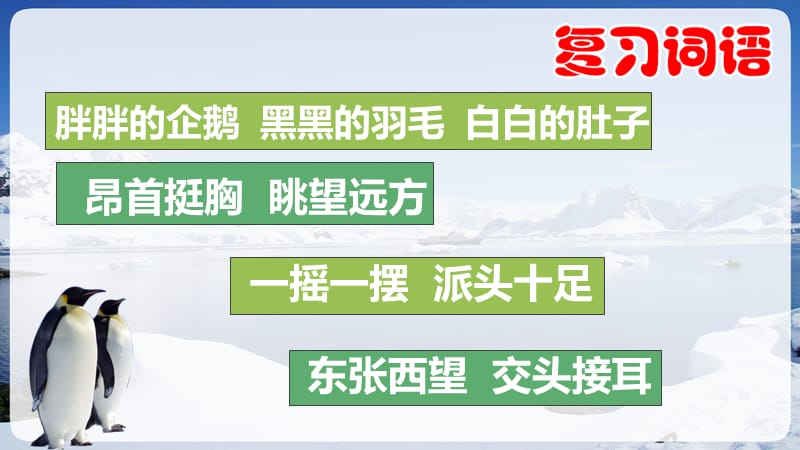 最新苏教版一年级语文下册《文15 南极的主人》研讨课课件_4.pptx_第3页