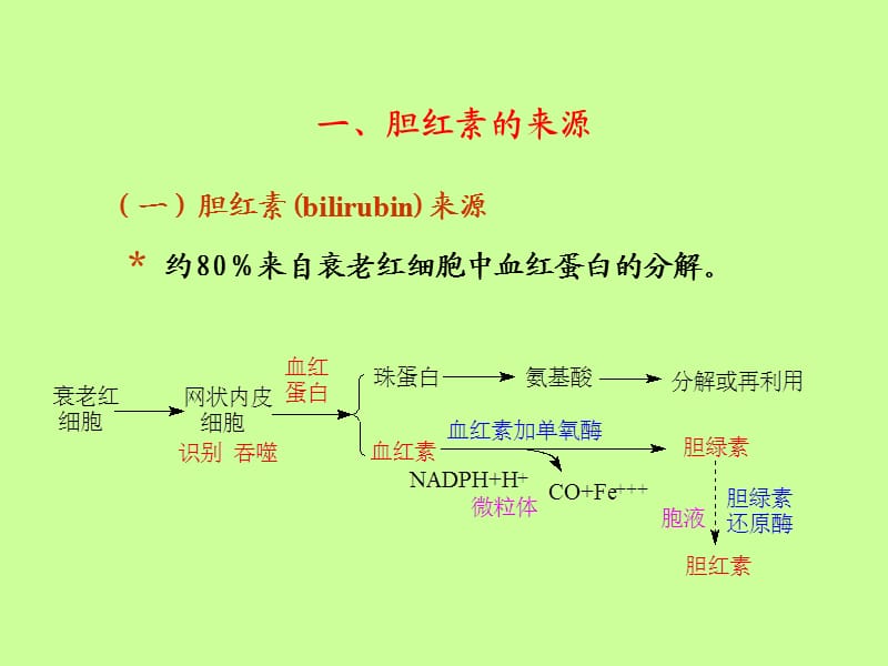 胆红素代谢紊乱.ppt_第3页